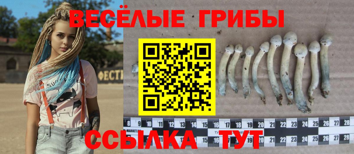 Галлюциногенные грибы Magic Shrooms Советская Гавань